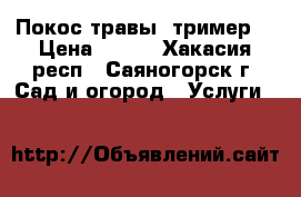 Покос травы (тример) › Цена ­ 300 - Хакасия респ., Саяногорск г. Сад и огород » Услуги   